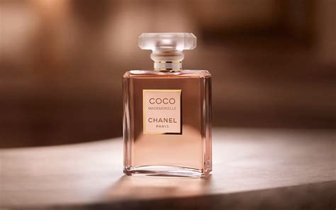 chanel perfume new 2024|best coco Chanel.